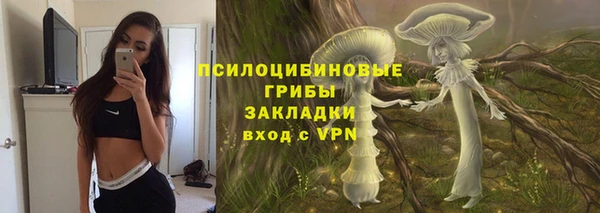 мдпв Лихославль