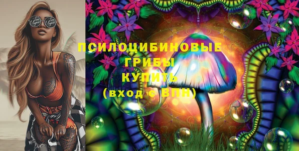 кокс Ладушкин