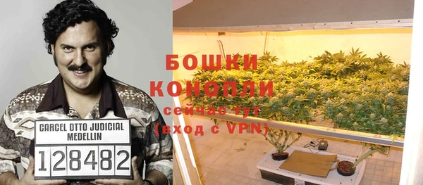 крисы Липки