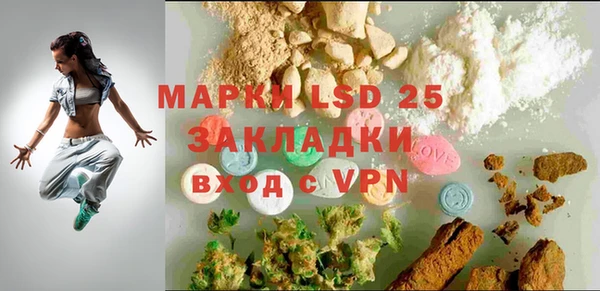 крисы Липки