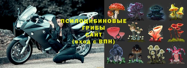 крисы Липки