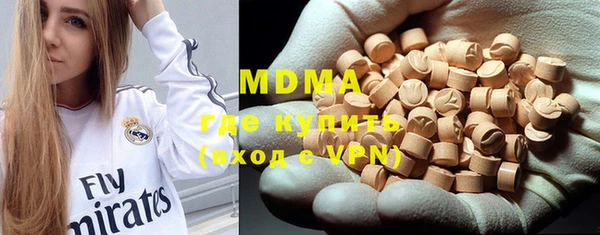 индика Долгопрудный