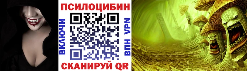 закладки  Поронайск  Псилоцибиновые грибы Psilocybe 